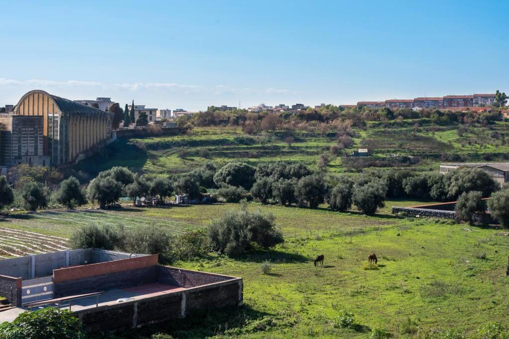 Top Floor Apartment Near Historic Fortino Катания Екстериор снимка